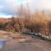 Ноябрь :: Наталья Герасимова