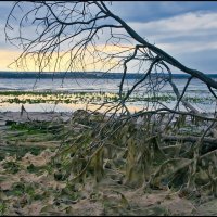 Волга :: **** vedin