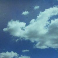 Летящее чудо :: Людмила Смородинская