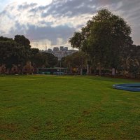 ,2025г Хайфа :: ujgcvbif 