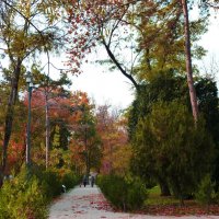 Осень на бульваре  Ленина :: Валентин Семчишин