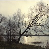 Унылая пора... :: Aleksandr Gal