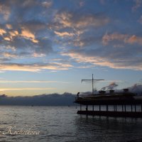 Природа Крыма :: Amazing Cosmea