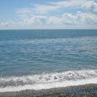 Природа Крыма :: Amazing Cosmea