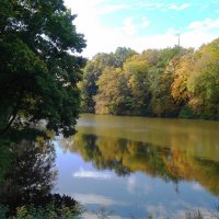 Осенние зарисовки :: Рита Симонова