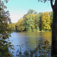 Осенние зарисовки :: Рита Симонова