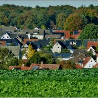 ПРОЕЗДОМ... :: Elvira E. 