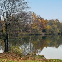 Поздняя осень. :: Lucy Schneider 