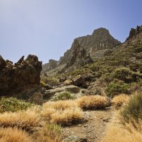 В начале пути :: Дмитрий Сурин