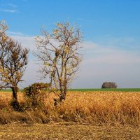 Ноябрь. :: Владимир 