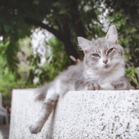 Ну, лежу и лежу (2) :: Сергей Царёв Ну, лежу и лежу (2) :: Сергей Царёв