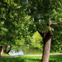 Люблинский парк :: Игорь Белоногов