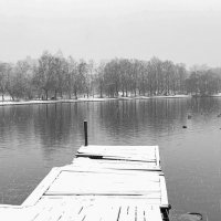 На пруду :: Александр 