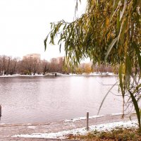 Осень в Москве :: Александр 