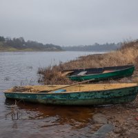 **** :: Елизавета .