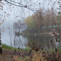 **** :: Владимир Безбородов