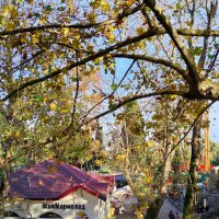 РИВЬЕРА :: Tata Wolf