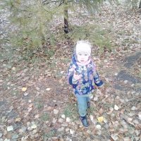 Листопад :: Георгиевич