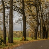 По дорогам осени. :: Николай 