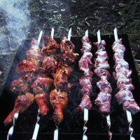 Жарится шашлык :: Людмила Смородинская