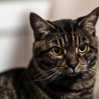 ... :: Жора Житников