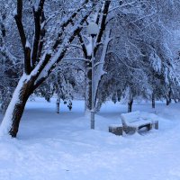 Парк после ночного снегопада :: Татьяна Лютаева