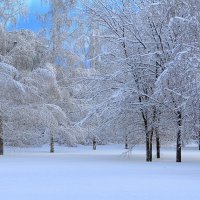 Они пока что шьют наряды, загадочно молчат... :: Татьяна Лютаева