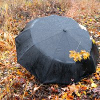 А снега у нас по-прежнему не дают... :: Андрей Заломленков