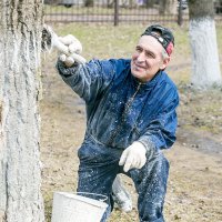 Весенние заботы :: Александр Силинский