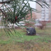 ,,, :: Сергей Тимоновский