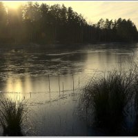 Ноябрь....светит но не греет .. :: Aleksandr Gal