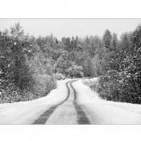 Под Питер. :: Aleks Lebedev