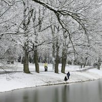 Утро ноября :: ZNatasha -