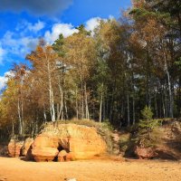 последние дни осени :: ИННА ПОРОХОВА