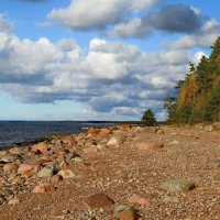 последние дни осени :: ИННА ПОРОХОВА