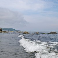 На берегу моря. :: Ирина Нафаня На берегу моря. :: Ирина Нафаня