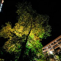 АЛМААТИНСКИЙ СТРИТ :: HART BAD