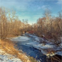 Осень скоро перейдёт в зиму.. :: Алексей Мезенцев