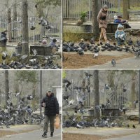 *** :: Лера *** :: Лера