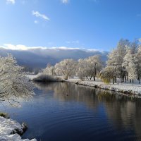 В солнечный день ноября :: Мария Васильева