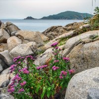 Полуостров Зарубина :: Игорь Сарапулов