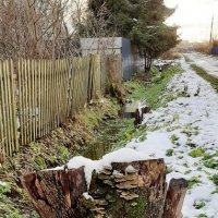 Ноябрь :: Наталья Герасимова Ноябрь :: Наталья Герасимова