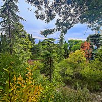 Прилегающий к дворцу Голицына ландшафтный парк. :: Виктор Мухин