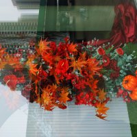 * * * :: Андрей Лукьянов * * * :: Андрей Лукьянов