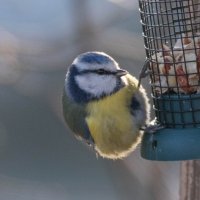 -- :: vladimir -- :: vladimir