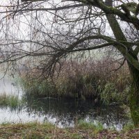 *** :: Владимир Безбородов