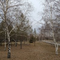 Ноябрь :: Андрей Хлопонин