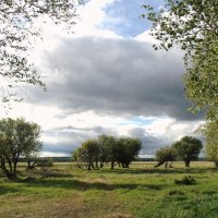 В родных местах - у неба цвет синее, в родных местах - просторнее луга... :: nadyasilyuk Вознюк В родных местах - у неба цвет синее, в родных местах - просторнее луга... :: nadyasilyuk Вознюк