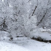 Природа в конце осени (репортаж из заснеженного парка). :: Милешкин Владимир Алексеевич 