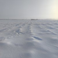 Зима :: Anna Ivanova